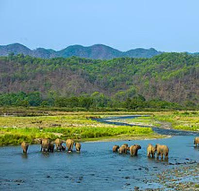 Corbett Landscape Saari Zone, Jim Corbett National Park